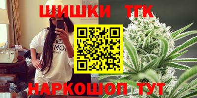 тгк Будённовск