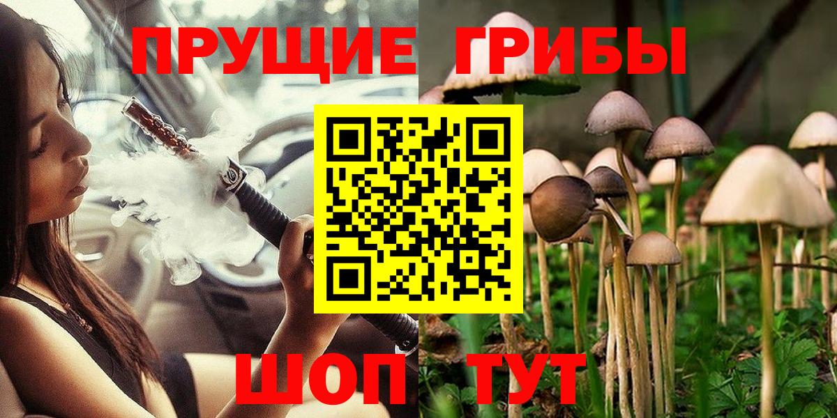 Новотроицк  Псилоцибиновые грибы Cubensis  Вход с VPN 